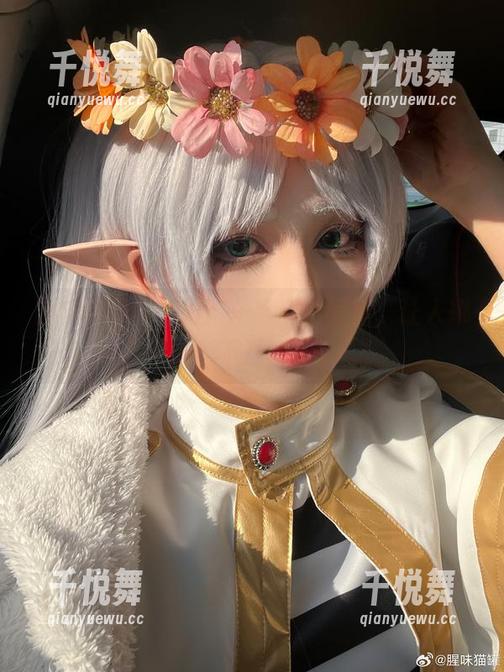 腥味猫罐与礼服：一组精选写真，让人挪不开眼